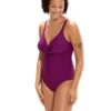 Speedo Brigitte One Piece Swimsuit - Purple -Swim District BrigitteOnePieceSwimsuit Purple 7