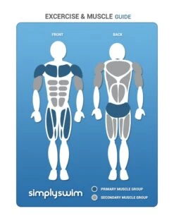 BeCo Betomic -Swim District Exercise MuscleGuide 76479f93 6bee 422b a534 cce33666fae6