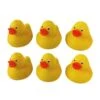 Rubber Duckies - Pack Of 6 - Yellow -Swim District Rubber Duckies Pack of 6