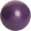 Fitness-Mad Studio Pro Anti-Burst 500kg Swiss Ball - Purple - 3 Sizes -Swim District Untitledd