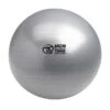 Fitness-Mad Anti-Burst 125kg Swiss Ball And Pump -Swim District fitnee mad anti burst 125kg swiss ball and pump